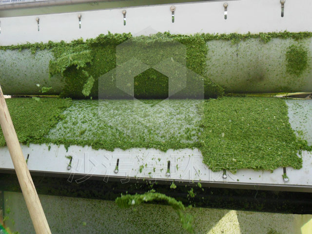 蘭州飼料廠蔬菜脫水